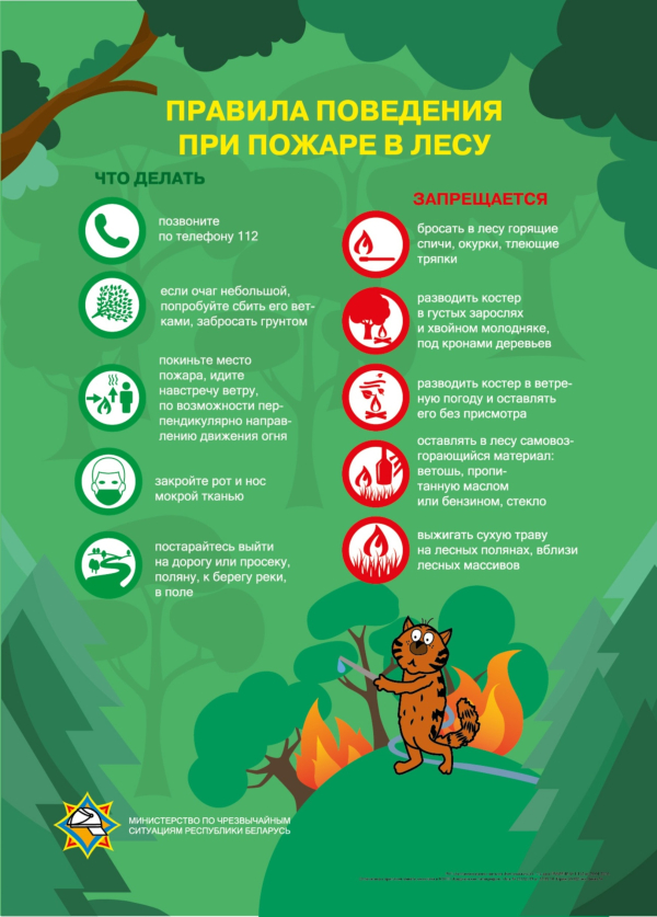 Правила поведения в лесу